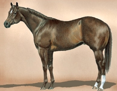 brown2