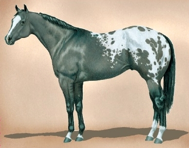 grulla