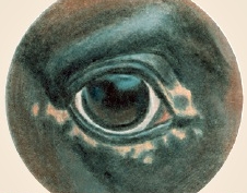 whitesclera